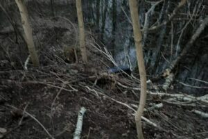 «Лежал в позе эмбриона»: чемодан с телом иностранца обнаружили на северо-востоке Москвы