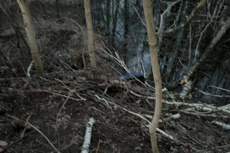 «Лежал в позе эмбриона»: чемодан с телом иностранца обнаружили на северо-востоке Москвы