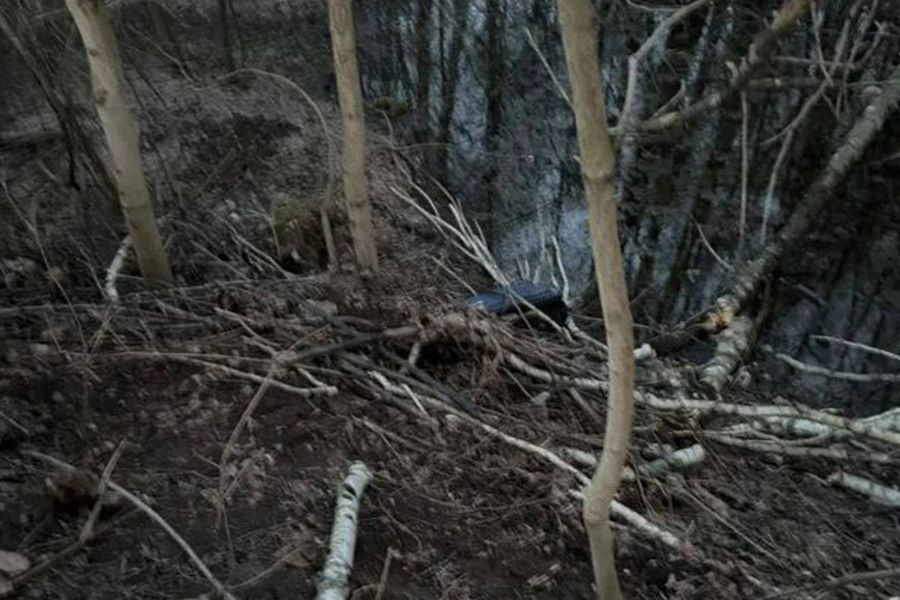 «Лежал в позе эмбриона»: чемодан с телом иностранца обнаружили на северо-востоке Москвы