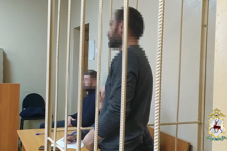 Пьяный мигрант насмерть сбил пенсионера в Нижнем Новгороде, после чего пытался сбежать на родину