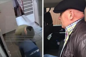 «Был недостаточное вежлив»: в Приморье задержали мужчину, жестоко избившего подростка в подъезде