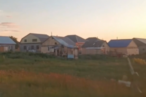 Цыгане самовольно построили себе дома, захватив земли в ульяновском посёлке