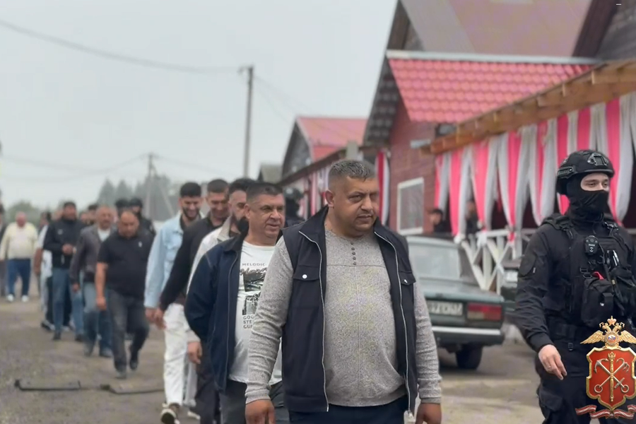 Более полусотни цыган увезли в отделы полиции из этнического посёлка в Ленинградской области