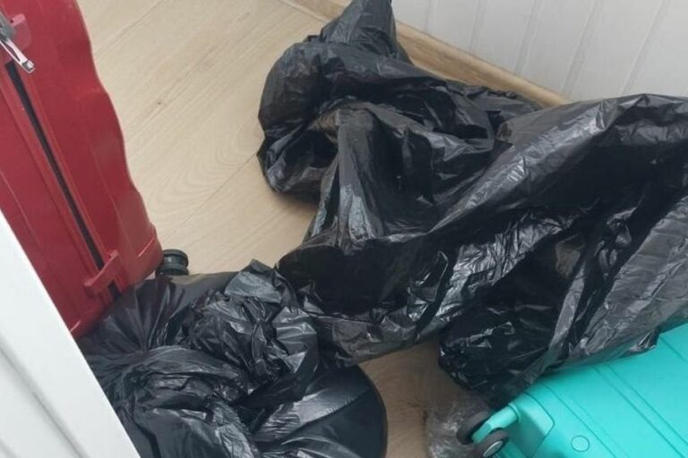 «Разложил по пакетам»: в Москве приезжий из Грузии жестоко расправился с сожительницей и её дочерью