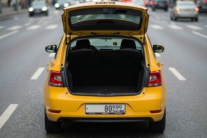 В Москве мигранты избили сородича, затолкали в багажник такси и увезли в неизвестном направлении