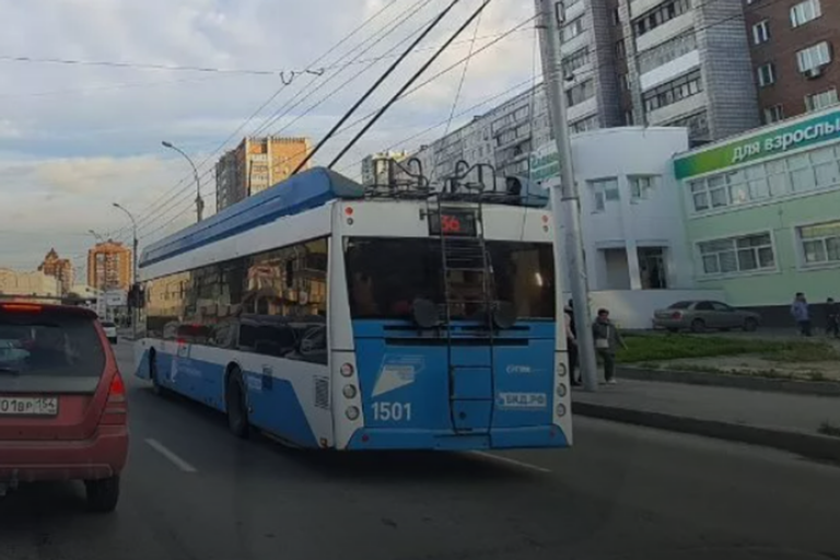 В Новосибирске компания мужчин избила девушку из-за места в троллейбусе