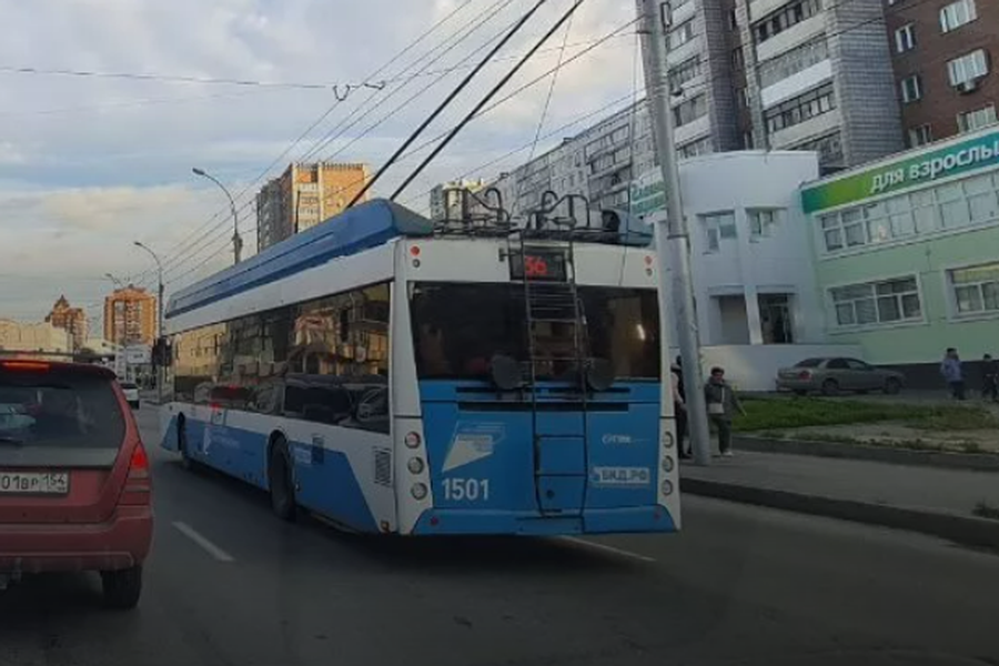В Новосибирске компания мужчин избила девушку из-за места в троллейбусе